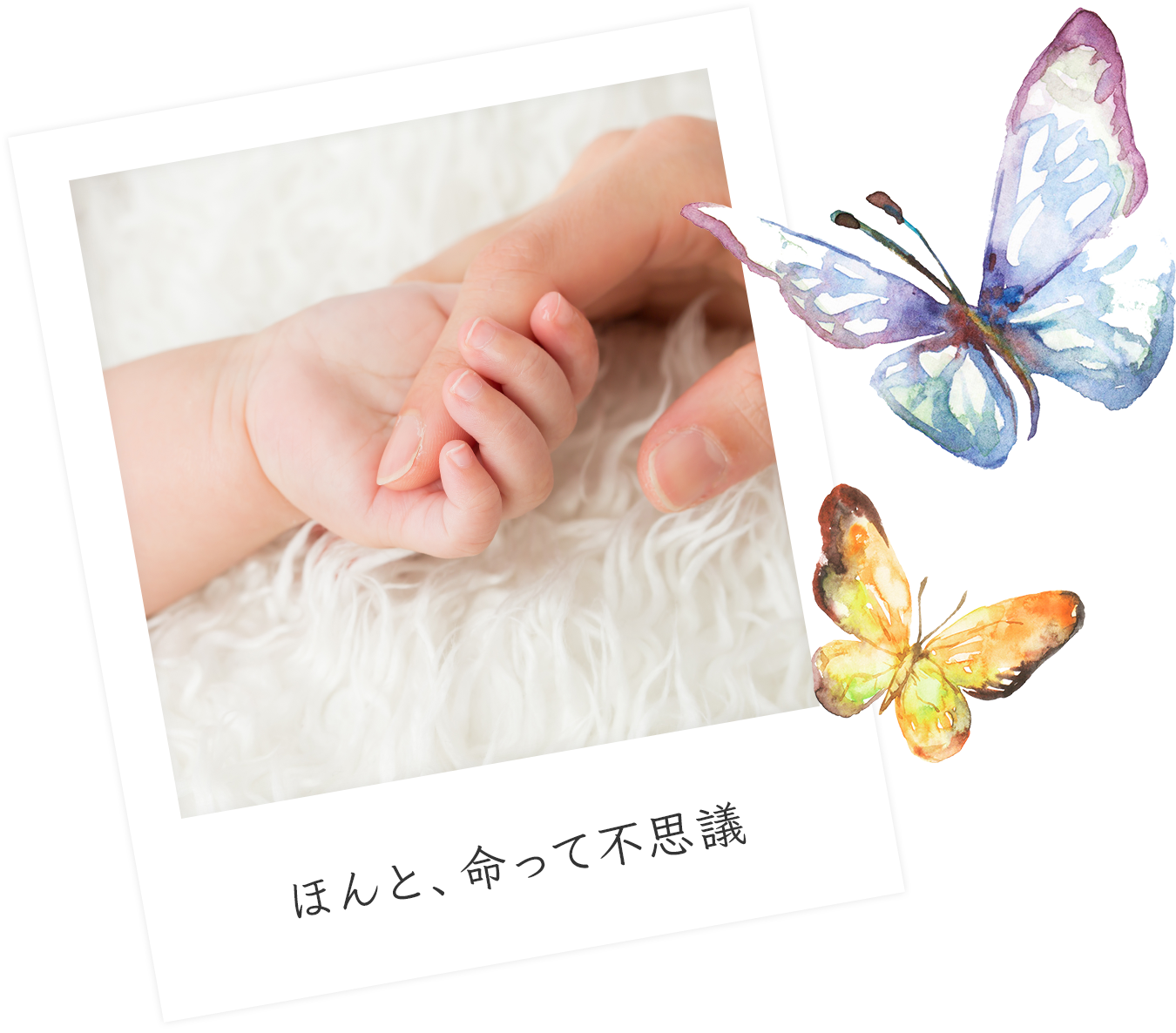 ほんと、命って不思議