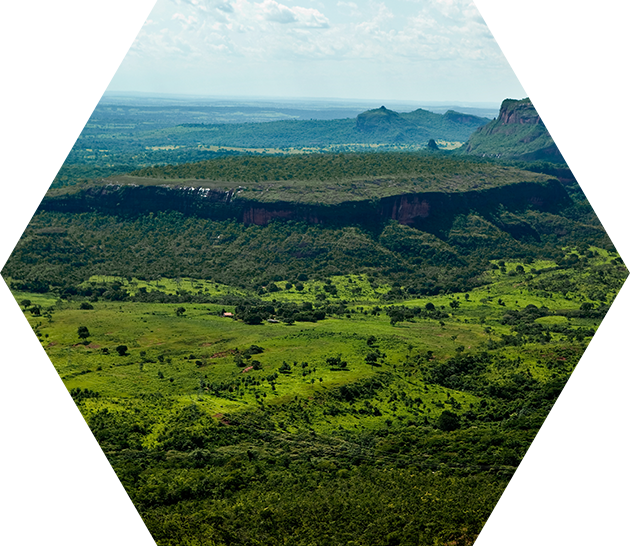 ブラジル特有の風土と自然環境