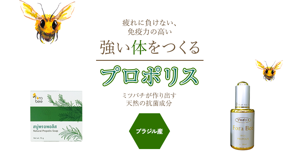 疲れに負けない、免疫力の高い｜強い体をつくる｜プロポリス｜ミツバチが作り出す天然の抗菌成分